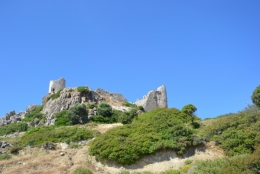 DSC_0093.JPG