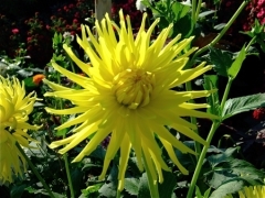 DSCF3102.jpg