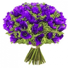 violette,bouquet,amour