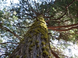 DSCF5872.JPG