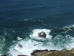 DSCF0233.JPG