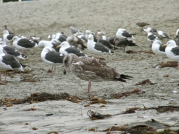 DSCF5587.JPG