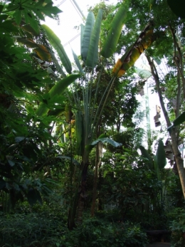 DSCF4521.JPG