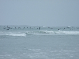 DSCF5538.JPG