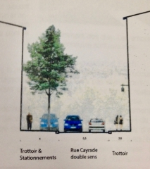 rue cayrade-profil.jpg
