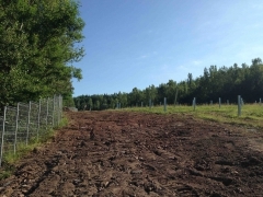 zone 4 -260716.jpg