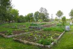 jardin partagé ecolotissement des frenes laguiole.jpg