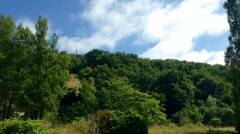 terrain le soulacre3.jpg