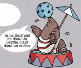 otarie - je ne suis pas né dans un bassinmais dans un océan -Marie Capriata© 2016.png