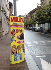 cirque muller -kakemono rue gambetta.jpg