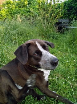 Le producteur des boites