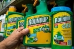 roundup.jpg