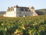 Chateau vignes.JPG