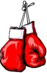 gants_de_boxe_1.jpg