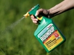 glyphosate.jpg