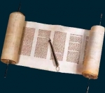 torah.jpg