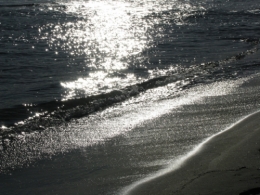 Canet 27 12 09.jpg