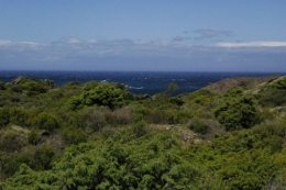Cap de Creus.jpg