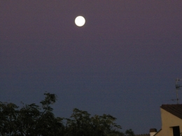 le lune est par dessus le toit.jpg