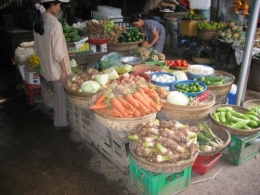 Tet 2004 Hoï Anh.jpg