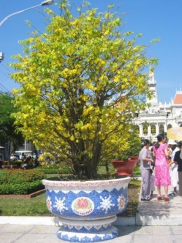Tet Saïgon 2004.jpg