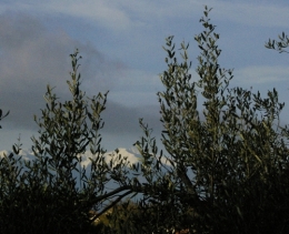 première neige 2011.jpg