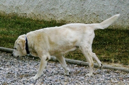 _IGP0018.JPG