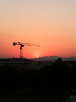 La grue et le soleil....jpg