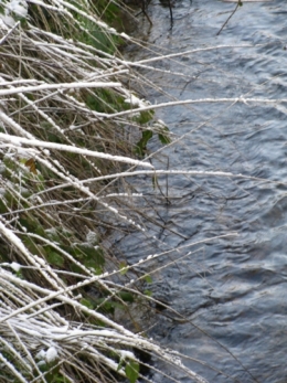 29:11:2010 Pontch.jpg