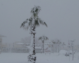 Canet 8:03:10.jpg