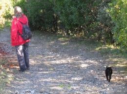 chat serrabone 2012.jpg