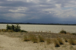 etang de canet 1.jpg