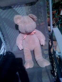 mon cochon peluche.jpg