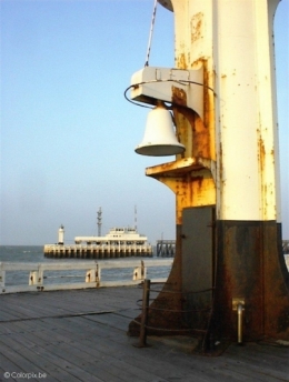 cloche-t5105.jpg