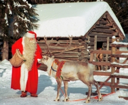 photo-pere-noel-renne-laponie-image-730x600.jpg