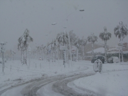Canet 8 03 10 -13 h.jpg