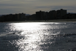 Canet 27 dde.jpg