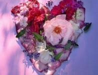fleurs.jpeg