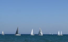 Régates hiver 2011 Canet.jpg