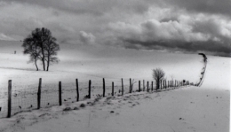 prairies-france-1365687876-1203140.jpg