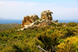V L'aigle Cap Creus.jpg