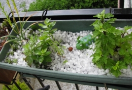 balcon jour de grêle.jpg