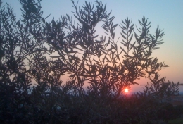 coucher soleil cabes.jpg