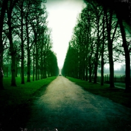 Chemin de la vie !.jpg