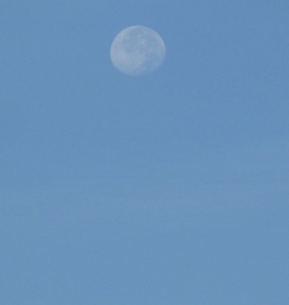 pas conne la lune !.jpg