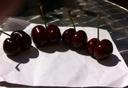 double cerises.jpg