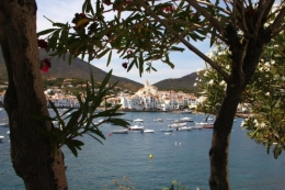 photo V 2014.jpg