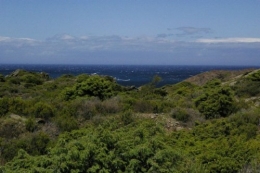 Cap de Creus.jpg