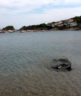 notre plage.jpg