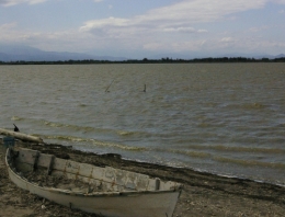 Etangs de Canet.jpg